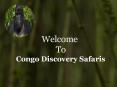 Gorilla Trekking Safaris in Congo PowerPoint PPT Presentation