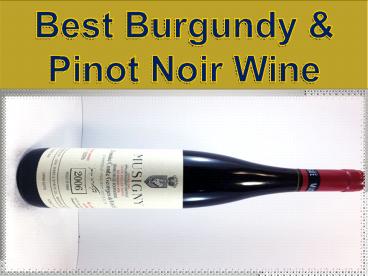 Best Burgundy & Pinot Noir Wine
