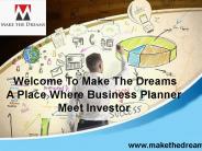 Business Investor