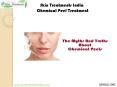The Myths and Truths about Chemical Peels - Skin Treatment India PowerPoint PPT Presentation