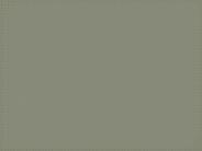 CIS 322 Course Experience Tradition /tutorialrank.com