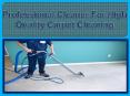 Professional Cleaner for High Quality Carpet Cleaning PowerPoint PPT Presentation