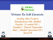 Essential Oils Manufacturers (10)