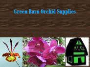 Special Orchid Mixes