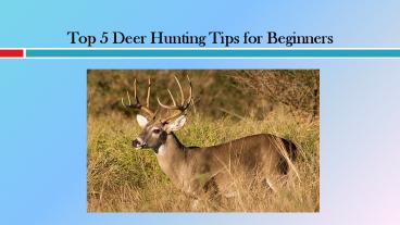 Top 5 Deer Hunting Tips for Beginners