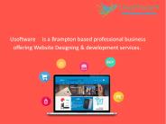 Website Development Brampton | Usoftware