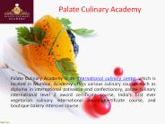 Palate Culinary Academy - International Culinary Center (1)