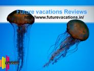 Future vacations (Bangalore)// Future vacations Reviews