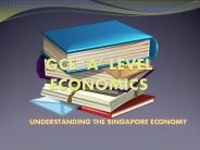 Singapore Economics Tuition