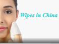 Wipes Market in China PowerPoint PPT Presentation