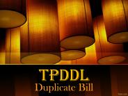 TPDDL Duplicate Bill