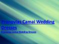 Price of Pronovias Camai Wedding Dresses at Ow Prom