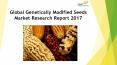24 Market Reports: Global Genetically Modified Seeds Market Research Report 2017 PowerPoint PPT Presentation