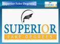 Superior Fake Degrees PowerPoint PPT Presentation