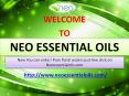 Now You can order! Pure floral waters just few click on Neoessentialoils.com PowerPoint PPT Presentation
