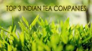 Top 3 Indian Tea Companies