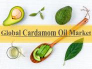 Global Cardamom Oil Market