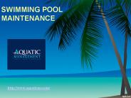 Swimming Pool Maintenance