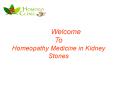 Dengue Homeopathy (1) PowerPoint PPT Presentation