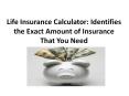 Life Insurance Calculator: Identifies the Exact Amount of Insurance That You Need PowerPoint PPT Presentation