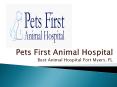 Pets First Animal Hospital - Best Animal Hospital Fort Myers, FL PowerPoint PPT Presentation