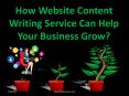 How Website Content writing Service Can Help Your Business Grow? PowerPoint PPT Presentation