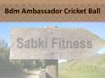 Bdm Ambassador Cricket Ball - Sabkifitness.com