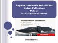 Popular Automatic Switchblade Knives Collections PowerPoint PPT Presentation