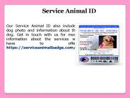 Emotional Support Dog Registration