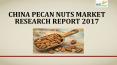 China Pecan Nuts Market Research Report 2017 PowerPoint PPT Presentation