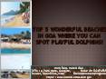 Top 5 Wonderful Beaches In Goa Where You Can Spot Playful Dolphins PowerPoint PPT Presentation