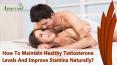 How To Maintain Healthy Testosterone Levels And Improve Stamina Naturally? PowerPoint PPT Presentation