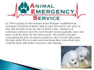 Veterinary Hospital AES