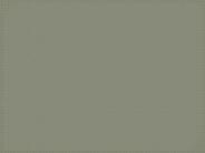 HCS 430Course Experience Tradition /tutorialrank.com