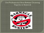 Get Professional Boat Bottom Cleaning Experts in Broward