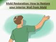 Mold Restoration - How to Restore your Interior Wall from Mold PowerPoint PPT Presentation