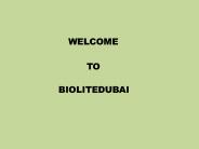 Best Plastic Surgery Abdominoplasty