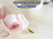 Cute HD Desktop Wallpaper