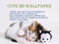 cute hd wallpaper PowerPoint PPT Presentation