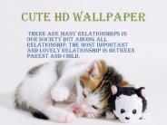 cute hd wallpaper
