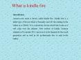 What is kindle fire it's common problem and solution PowerPoint PPT Presentation