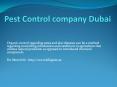 Pest Control company Dubai PowerPoint PPT Presentation
