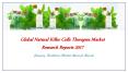 Global Natural Killer Cells Therapies Market Research Reports 2017: JSB Market Research PowerPoint PPT Presentation