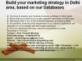 Build your marketing strategy in Delhi area, based on our Databases PowerPoint PPT Presentation
