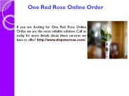 Single Rose Free Delivery (1)