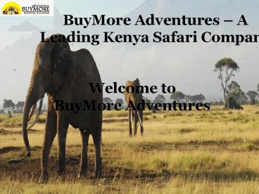 BuyMore Adventures - A Leading Kenya Safari Company (1)