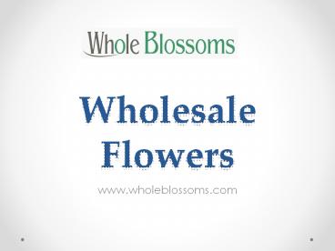 Wholesale Flowers - Whole Blossoms (2)