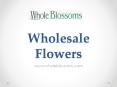 Wholesale Flowers - Whole Blossoms (2) PowerPoint PPT Presentation