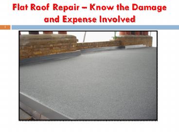 Flat Roof Repair – Know the Damage and Expense Involved