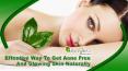 Effective Way To Get Acne Free And Glowing Skin Naturally PowerPoint PPT Presentation